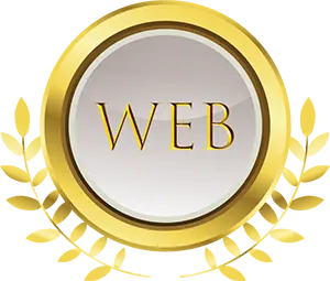 حرفه ای